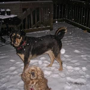 Meet your Posher, Melanie